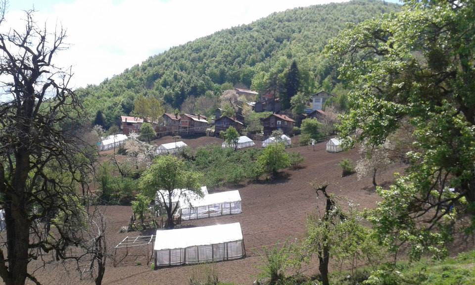 Doğanyurt Şirin Köyü Resimleri 3