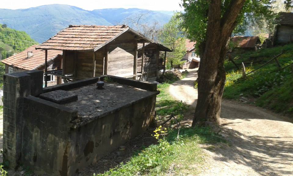 Doğanyurt Şirin Köyü Resimleri 4