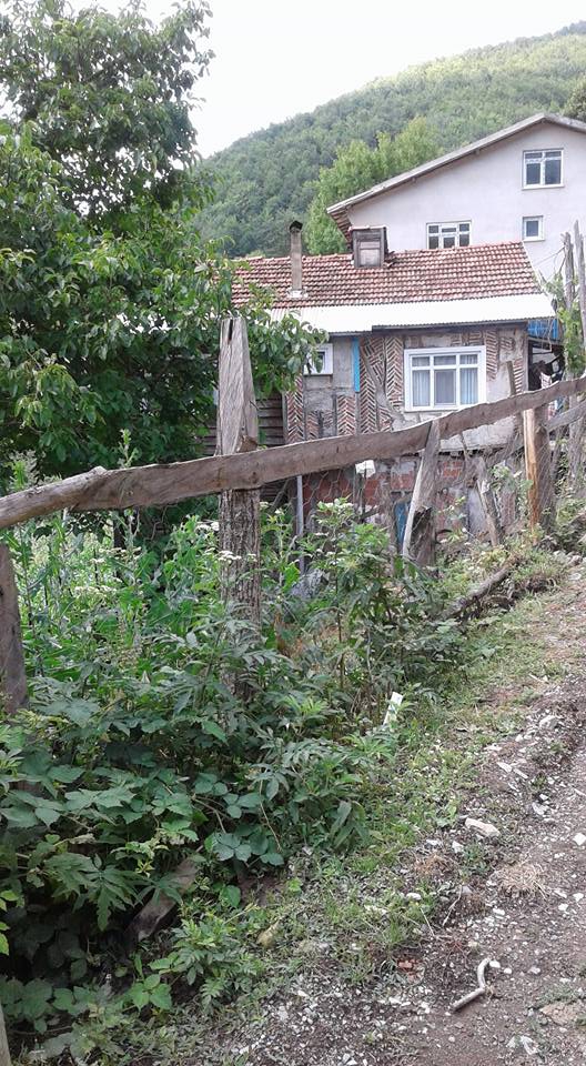 Doğanyurt Şirin Köyü Resimleri 5