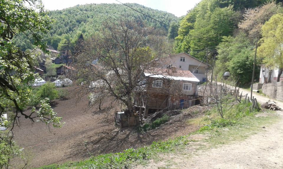 Doğanyurt Şirin Köyü Resimleri 9