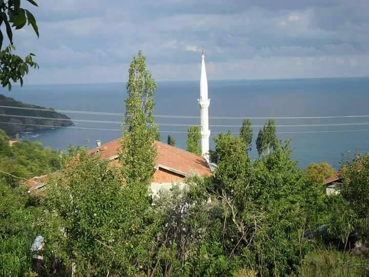 Doğanyurt Taşlıpınar Köyü Resimleri 1