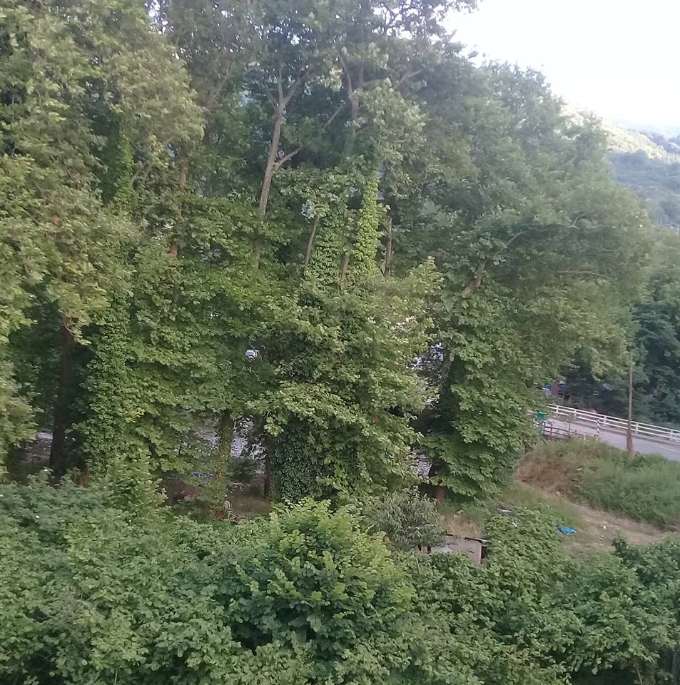 Doğanyurt Taşlıpınar Köyü Resimleri 10