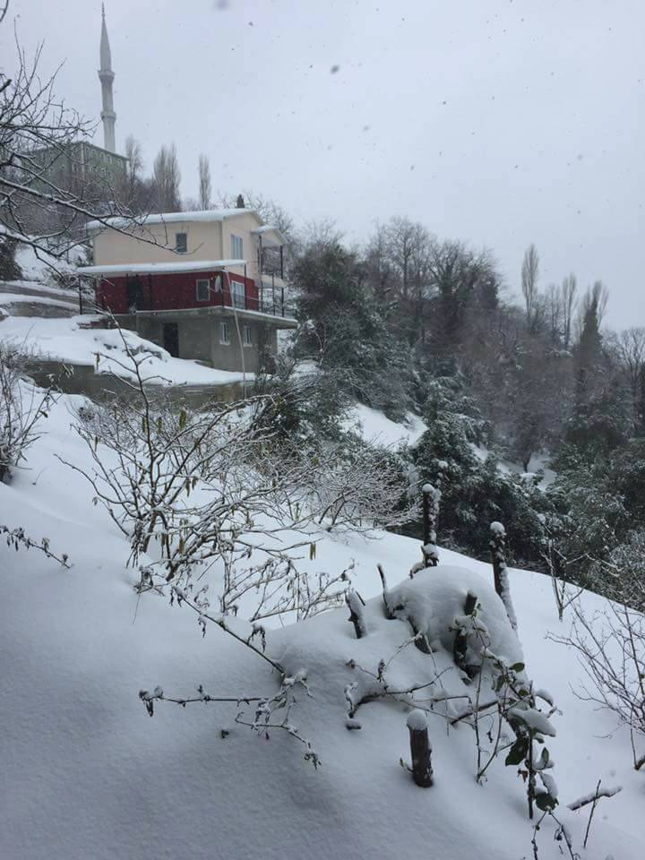 Doğanyurt Taşlıpınar Köyü Resimleri 11