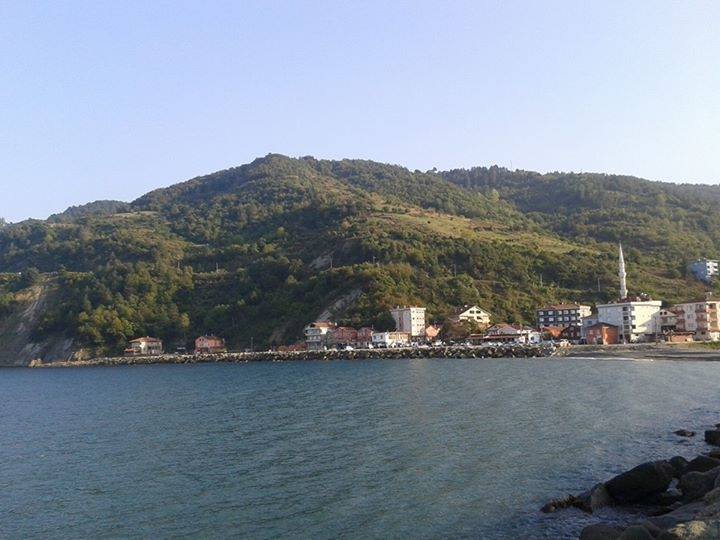 Doğanyurt Taşlıpınar Köyü Resimleri 2