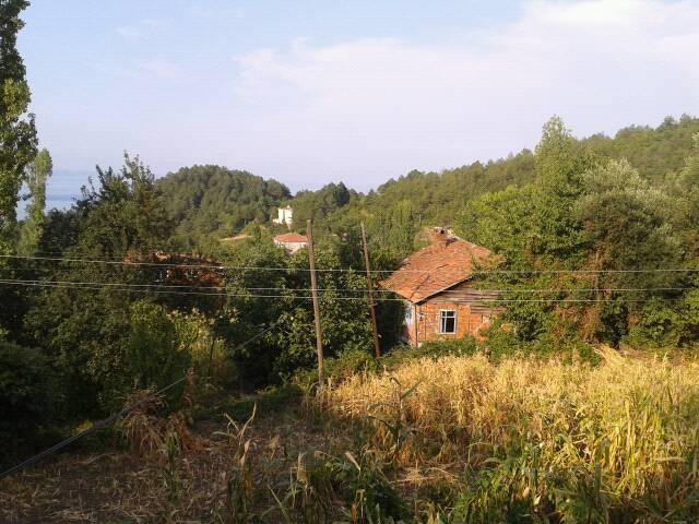 Doğanyurt Taşlıpınar Köyü Resimleri 3