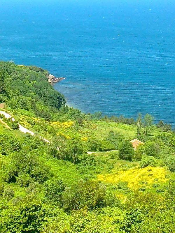 Doğanyurt Taşlıpınar Köyü Resimleri 4