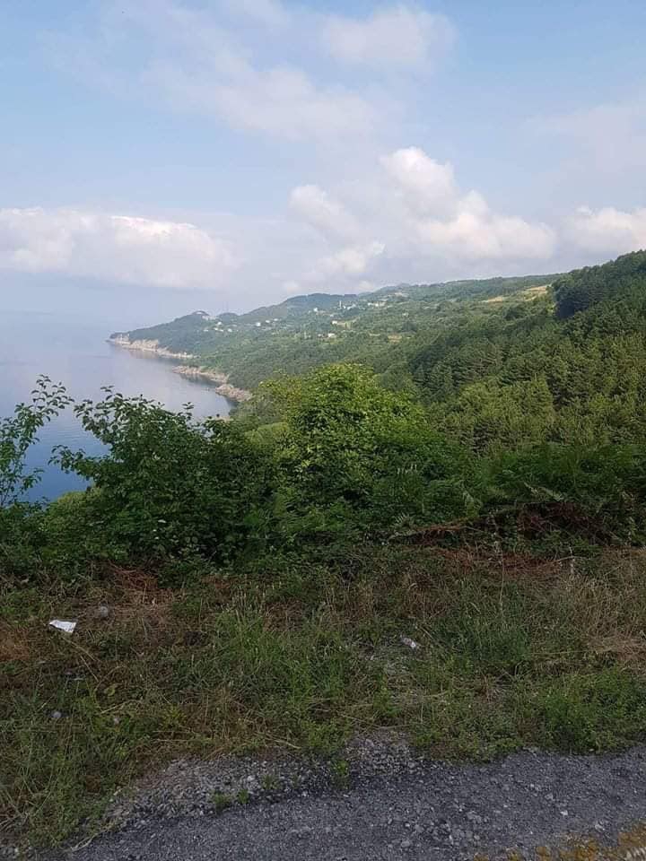 Doğanyurt Taşlıpınar Köyü Resimleri 5