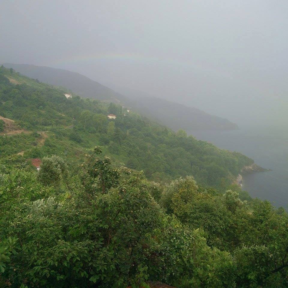 Doğanyurt Taşlıpınar Köyü Resimleri 6