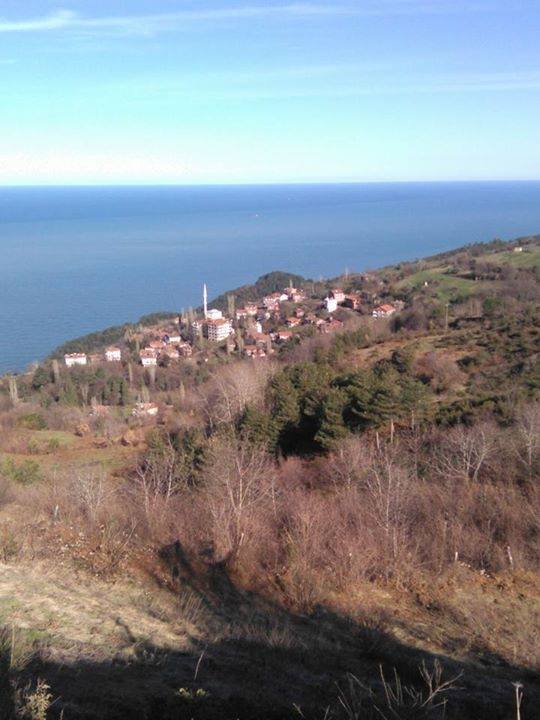 Doğanyurt Taşlıpınar Köyü Resimleri 7