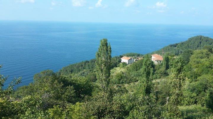 Doğanyurt Taşlıpınar Köyü Resimleri 9