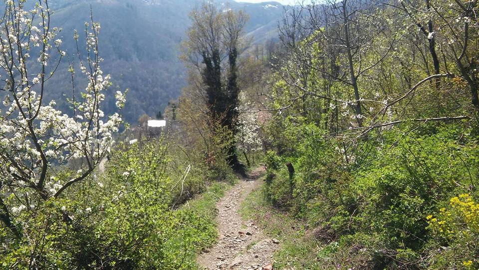 Doğanyurt Yassıkışla Köyü Resimleri 3