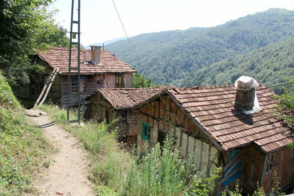 Doğanyurt Yassıkışla Köyü Resimleri 5