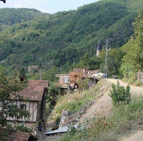 Doğanyurt Yassıkışla Köyü Resimleri 6