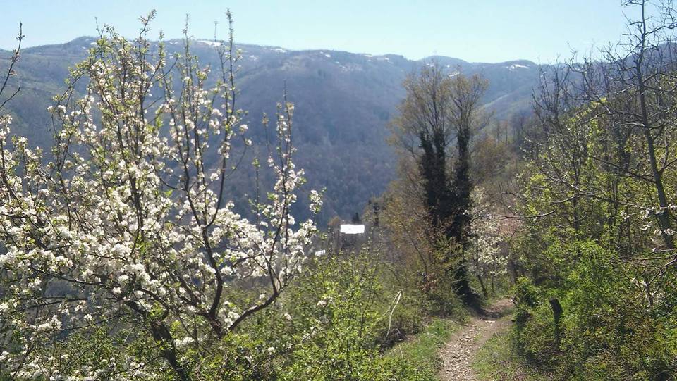 Doğanyurt Yassıkışla Köyü Resimleri 7