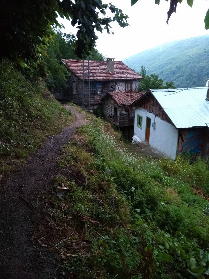 Doğanyurt Yassıkışla Köyü Resimleri 8