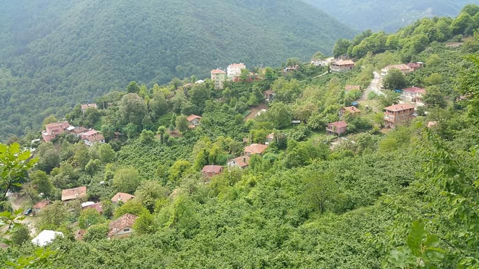 Doğanyurt Yukarımescit Köyü Resimleri 2