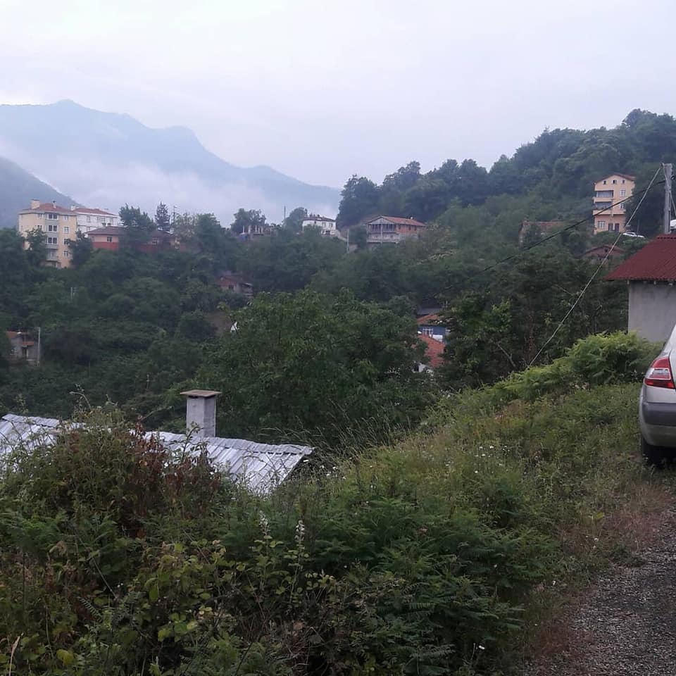 Doğanyurt Yukarımescit Köyü Resimleri 3