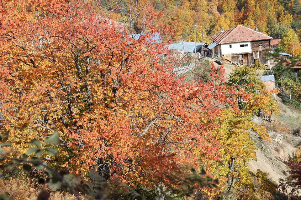 Hanönü Bölükyazı Köyü Resimleri 7