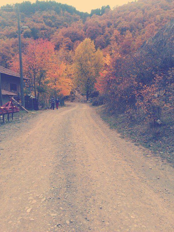 Hanönü Bölükyazı Köyü Resimleri 8