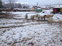 Mahmudiye Doğanca Köyü Resimleri 3