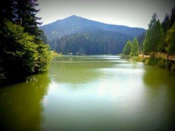 Hanönü Gökçeağaç Köyü Resimleri 2