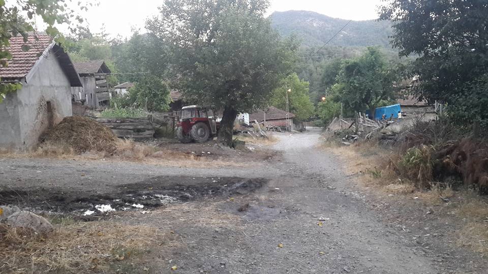 Hanönü Gökçeağaç Köyü Resimleri 5