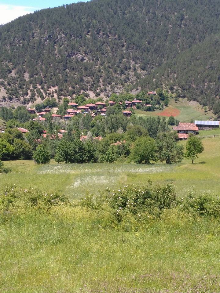 İhsangazi Akkaya Köyü Resimleri 1