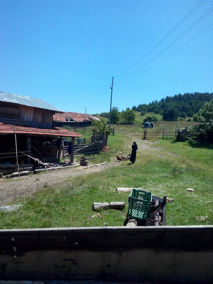 İhsangazi Akkaya Köyü Resimleri 10