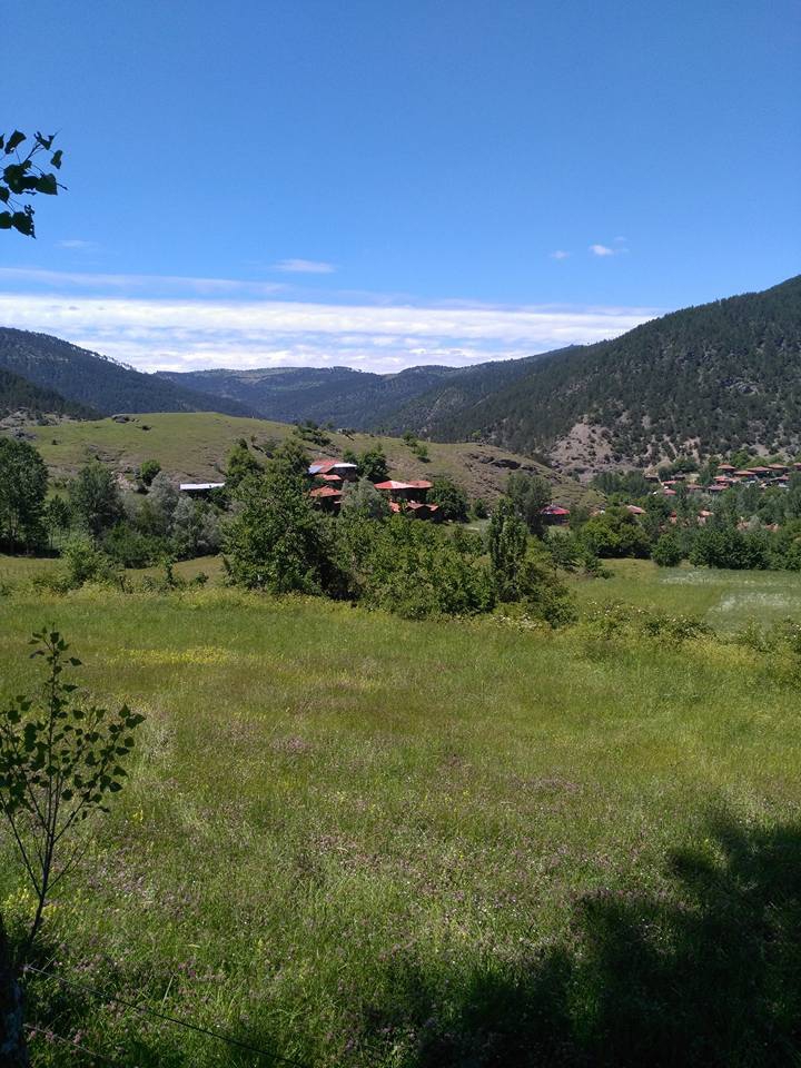 İhsangazi Akkaya Köyü Resimleri 2