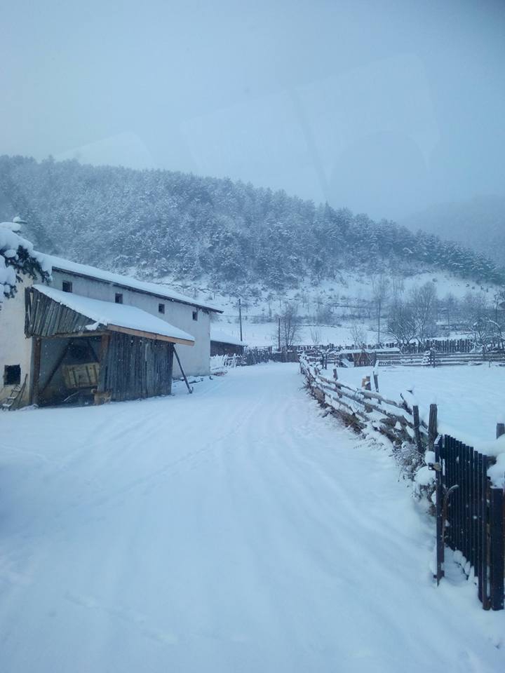 İhsangazi Akkaya Köyü Resimleri 3