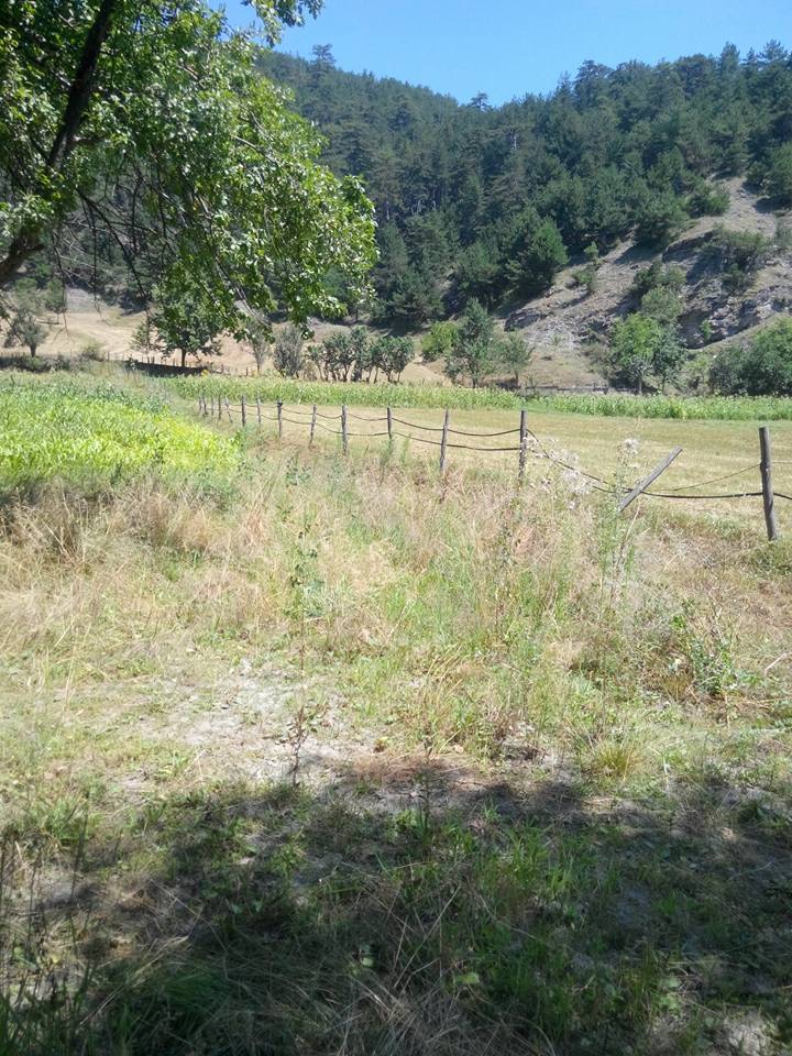 İhsangazi Akkaya Köyü Resimleri 5