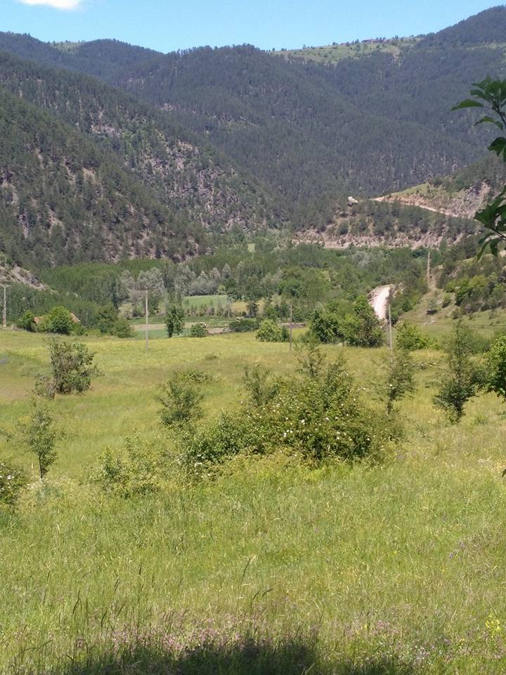 İhsangazi Akkaya Köyü Resimleri 7