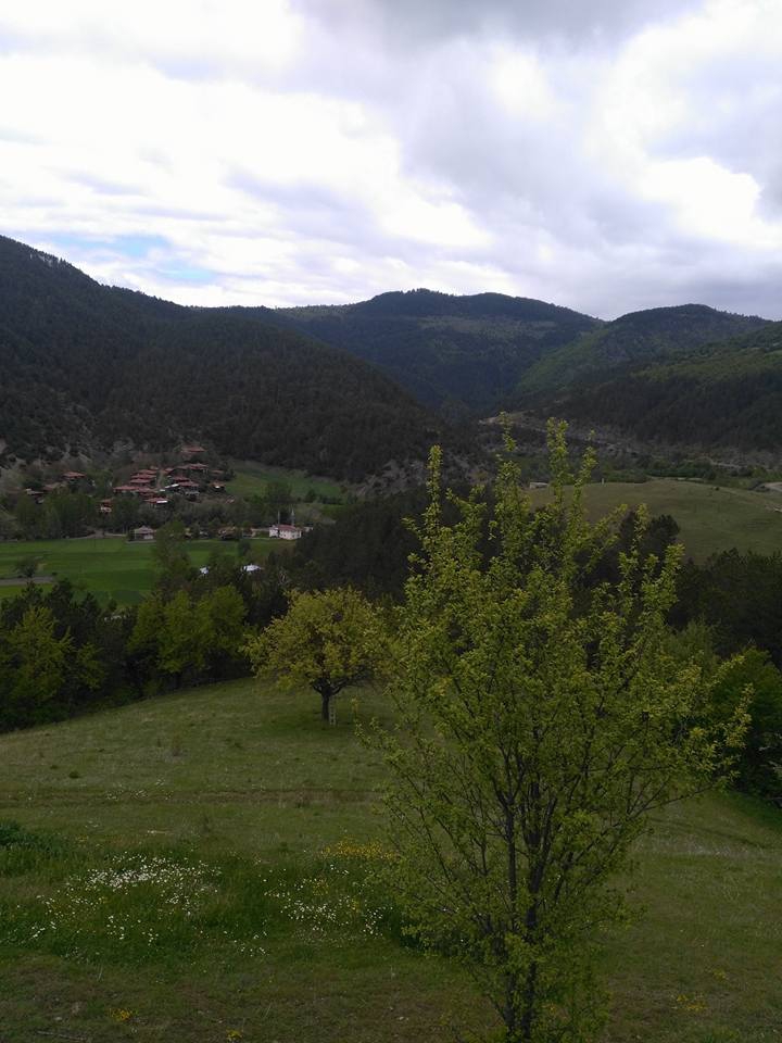 İhsangazi Akkaya Köyü Resimleri 8