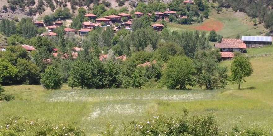 İhsangazi Akkaya Köyü Resimleri