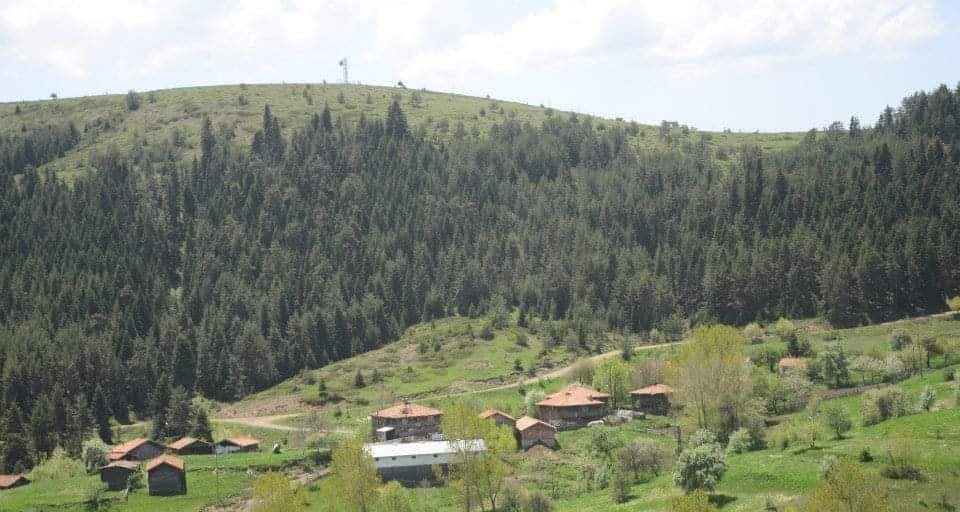 İhsangazi Bedirgeriş Köyü Resimleri 4