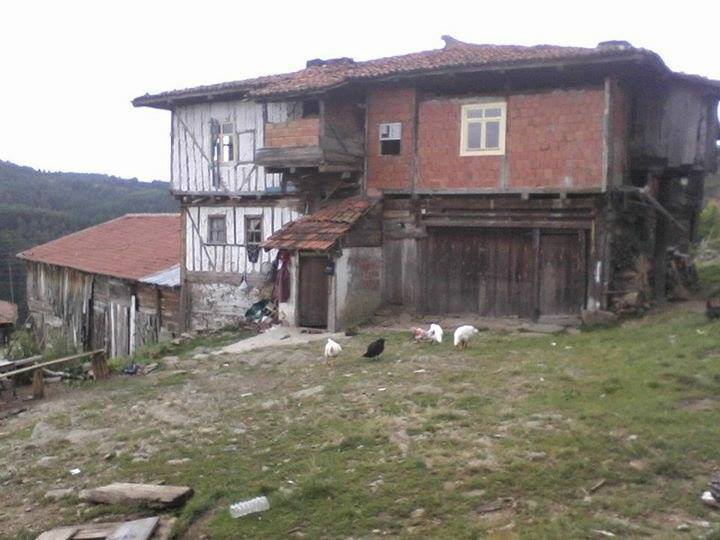 İhsangazi Bozarmut Köyü Resimleri 3