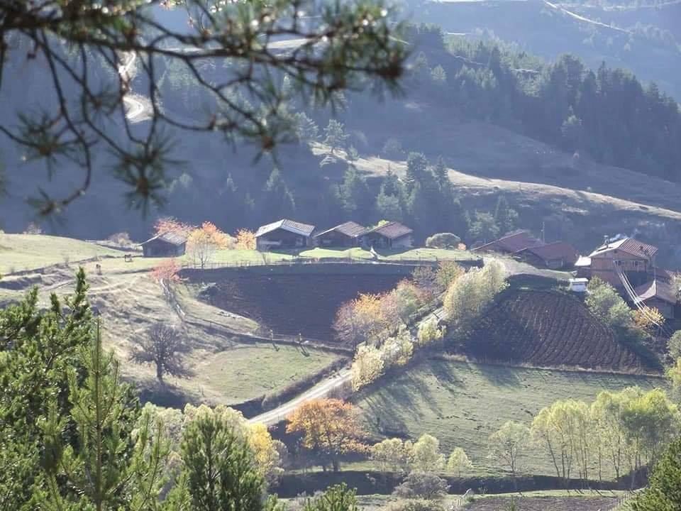 İhsangazi Bozarmut Köyü Resimleri 8