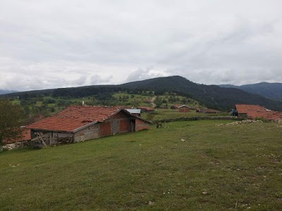 İhsangazi Çiçekpınar Köyü Resimleri 8