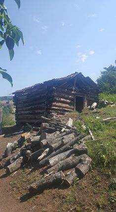 İhsangazi Enbiya Köyü Resimleri 2