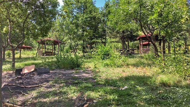 İhsangazi Görpe Köyü Resimleri 6