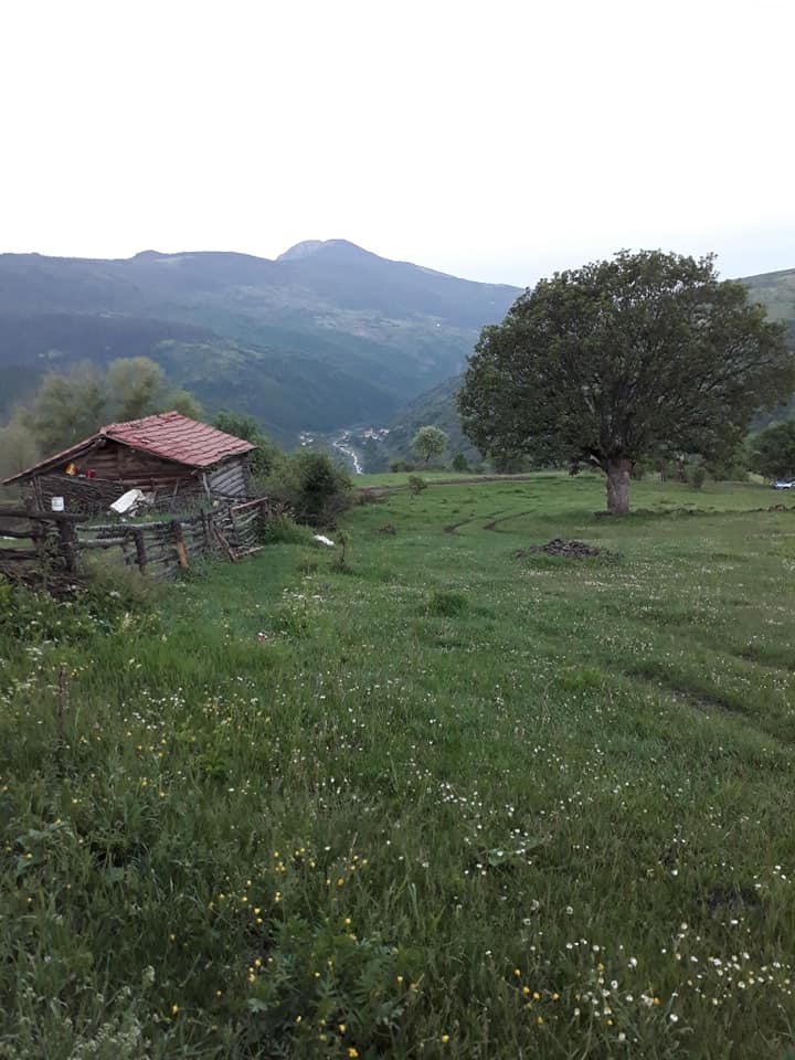 İhsangazi Hacıoğlu Köyü Resimleri 13