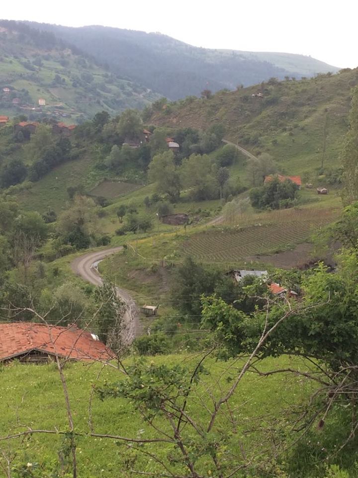 İhsangazi Hacıoğlu Köyü Resimleri 4