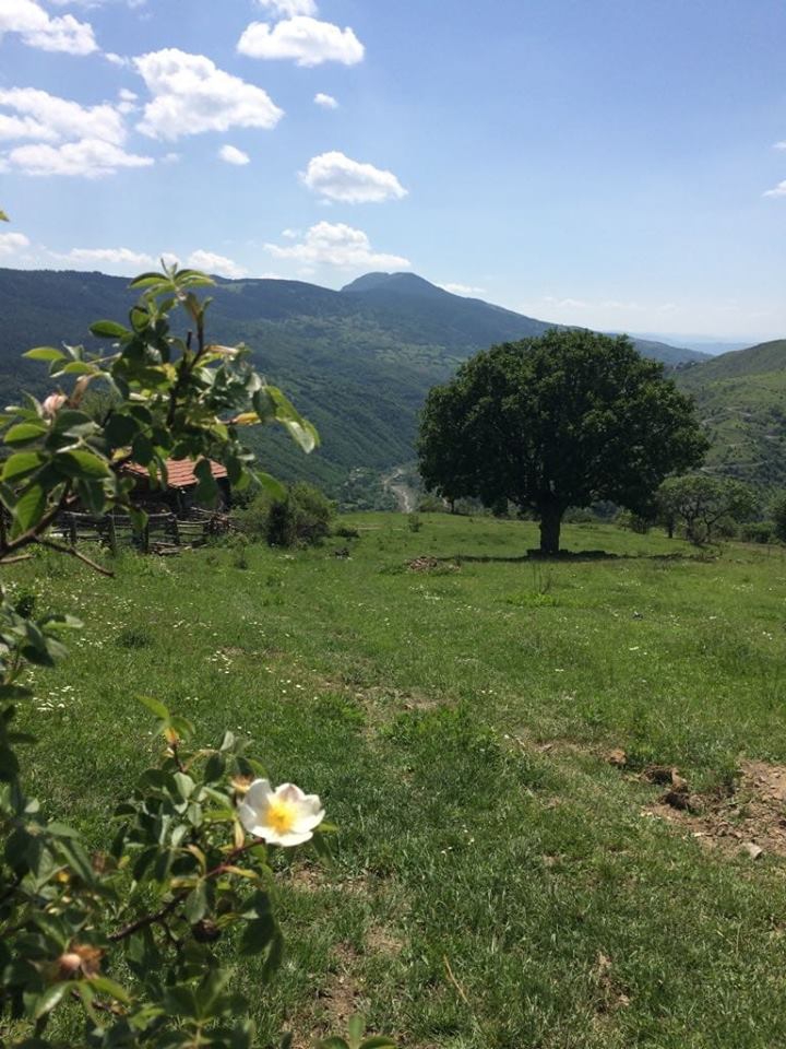 İhsangazi Hacıoğlu Köyü Resimleri 8