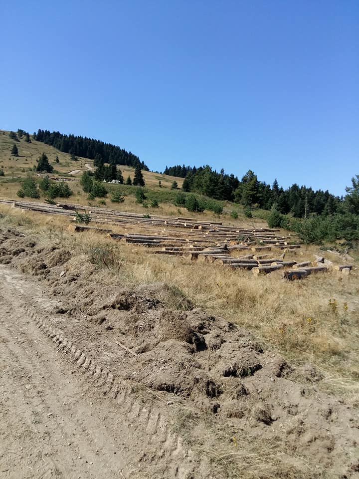 İhsangazi Haydarlar Köyü Resimleri 10