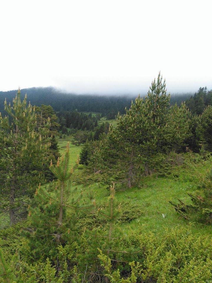 İhsangazi Haydarlar Köyü Resimleri 11