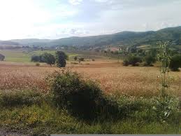 İhsangazi Hocahacip Köyü Resimleri 6