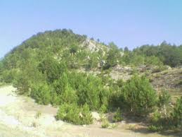 İhsangazi Hocahacip Köyü Resimleri 7