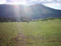 İhsangazi Hocahacip Köyü Resimleri 9