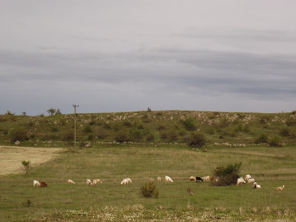 İhsangazi İnciğez Köyü Resimleri 2
