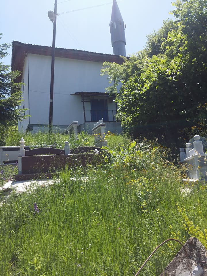 İhsangazi Kayapınar Köyü Resimleri 10